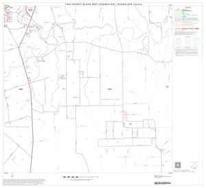 1990 Census County Block Map (Recreated): Guadalupe County, Block 17