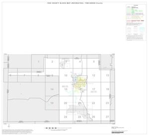Primary view of object titled '1990 Census County Block Map (Recreated): Tom Green County, Index'.
