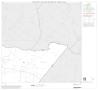 Thumbnail image of item number 1 in: '1990 Census County Block Map (Recreated): Reeves County, Block 13'.