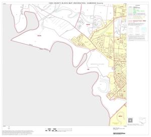 Primary view of object titled '1990 Census County Block Map (Recreated): Cameron County, Block 65'.