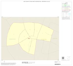 1990 Census County Block Map (Recreated): Brazoria County, Inset N01