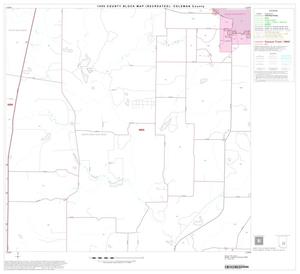 1990 Census County Block Map (Recreated): Coleman County, Block 15