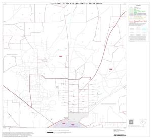 1990 Census County Block Map (Recreated): Pecos County, Block 13