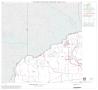 Thumbnail image of item number 1 in: '1990 Census County Block Map (Recreated): Camp County, Block 1'.