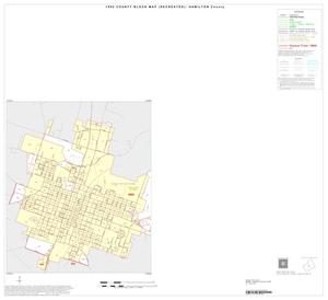 Primary view of object titled '1990 Census County Block Map (Recreated): Hamilton County, Inset B01'.