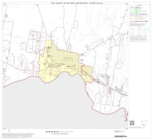 Primary view of object titled '1990 Census County Block Map (Recreated): Starr County, Block 20'.