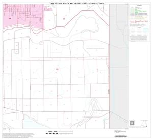 1990 Census County Block Map (Recreated): Hidalgo County, Block 89