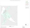 Thumbnail image of item number 1 in: '1990 Census County Block Map (Recreated): Dimmit County, Inset C01'.