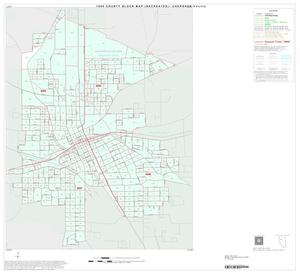 1990 Census County Block Map (Recreated): Cherokee County, Inset B01