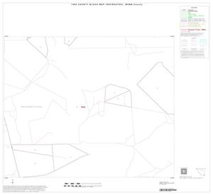 1990 Census County Block Map (Recreated): Webb County, Inset C05