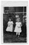 Photograph: Two Small Girls with Flowers