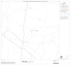 1990 Census County Block Map (Recreated): Hidalgo County, Block 24