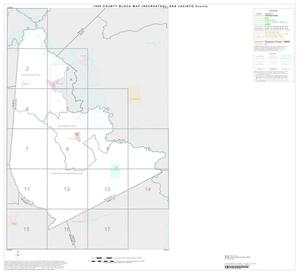 Primary view of object titled '1990 Census County Block Map (Recreated): San Jacinto County, Index'.