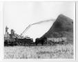 Photograph: Steam Thresher, Wheat Straw Pile and Horses