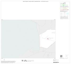 Primary view of object titled '1990 Census County Block Map (Recreated): Live Oak County, Inset B01'.