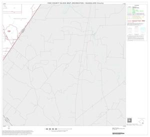 Primary view of object titled '1990 Census County Block Map (Recreated): Guadalupe County, Block 22'.