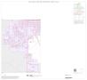 Thumbnail image of item number 1 in: '1990 Census County Block Map (Recreated): Scurry County, Inset A03'.