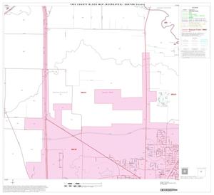 1990 Census County Block Map (Recreated): Denton County, Block 20