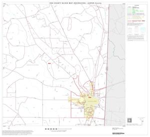 Primary view of object titled '1990 Census County Block Map (Recreated): Jasper County, Block 13'.