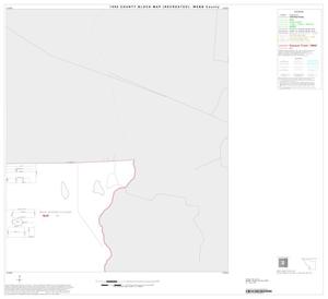 1990 Census County Block Map (Recreated): Webb County, Inset A20