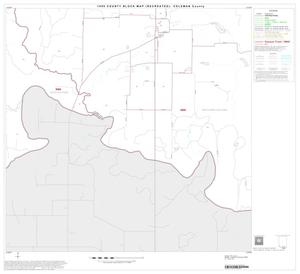 1990 Census County Block Map (Recreated): Coleman County, Block 23