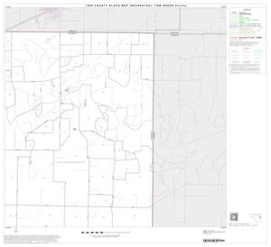 1990 Census County Block Map (Recreated): Tom Green County, Block 13