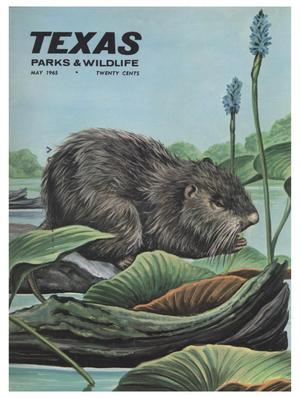 Primary view of object titled 'Texas Parks & Wildlife, Volume 23, Number 5, May 1965'.