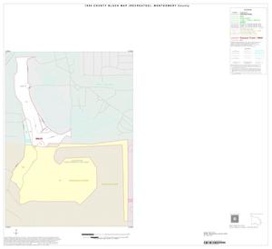 1990 Census County Block Map (Recreated): Montgomery County, Inset F01