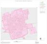 Map: 1990 Census County Block Map (Recreated): Andrews County, Inset A01
