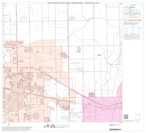1990 Census County Block Map (Recreated): Hidalgo County, Block 81