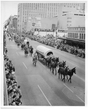 Primary view of object titled '[Parade in Houston]'.