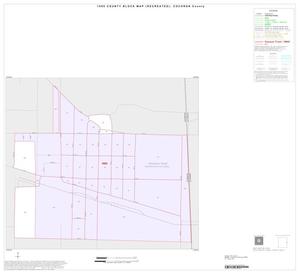 Primary view of object titled '1990 Census County Block Map (Recreated): Cochran County, Inset B01'.