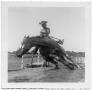 Photograph: [Lady on a Horse - Bronze Sculpture]