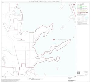 1990 Census County Block Map (Recreated): Cameron County, Block 22