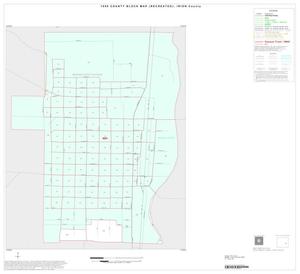 Primary view of object titled '1990 Census County Block Map (Recreated): Irion County, Inset A01'.
