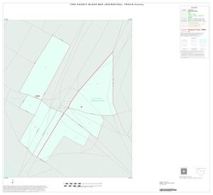 1990 Census County Block Map (Recreated): Travis County, Inset D01