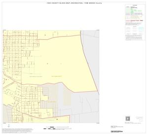 1990 Census County Block Map (Recreated): Tom Green County, Inset C10