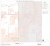 Map: 1990 Census County Block Map (Recreated): Denton County, Block 40