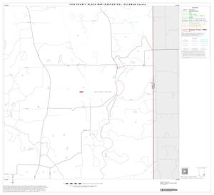 1990 Census County Block Map (Recreated): Coleman County, Block 20