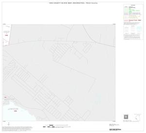 Primary view of object titled '1990 Census County Block Map (Recreated): Polk County, Inset C06'.