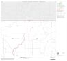 Thumbnail image of item number 1 in: '1990 Census County Block Map (Recreated): Young County, Block 3'.
