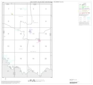 1990 Census County Block Map (Recreated): Coleman County, Index