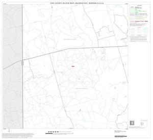Primary view of object titled '1990 Census County Block Map (Recreated): Borden County, Block 4'.