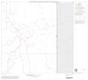 Map: 1990 Census County Block Map (Recreated): Uvalde County, Block 10