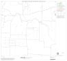 Map: 1990 Census County Block Map (Recreated): Denton County, Block 11