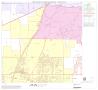 Map: 1990 Census County Block Map (Recreated): Collin County, Block 30