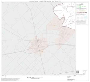 1990 Census County Block Map (Recreated): Waller County, Block 10