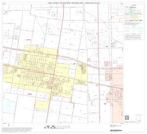 1990 Census County Block Map (Recreated): Hidalgo County, Block 80