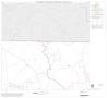 Thumbnail image of item number 1 in: '1990 Census County Block Map (Recreated): Coke County, Block 2'.