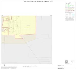 1990 Census County Block Map (Recreated): Tom Green County, Inset C14